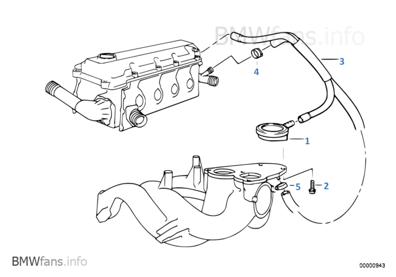 Bmw M43 Engine Diagram Bmw M43 Wiring Bmw M43b19 Engine Problems And Reliability